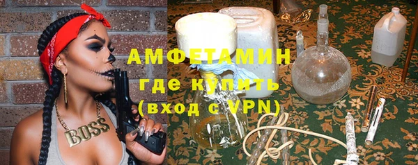 мет Алексин